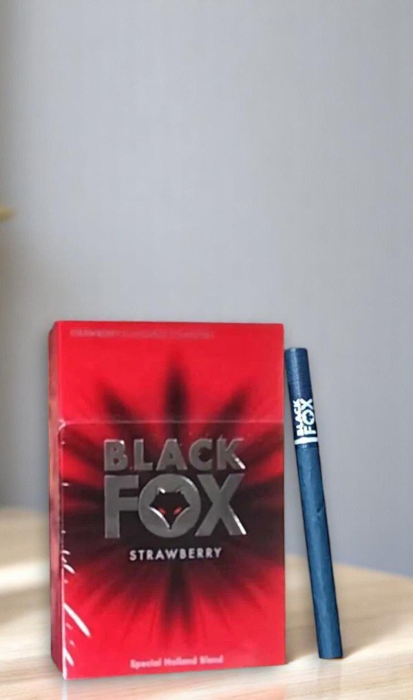 เธเธธเธซเธฃเธตเนเธเธญเธ Black Fox Strawberry | Black Fox Strawberry