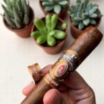 Alec Bradley Tempus Nicaragua รสชาติกลมกลืนที่คุณต้องลอง 🍃