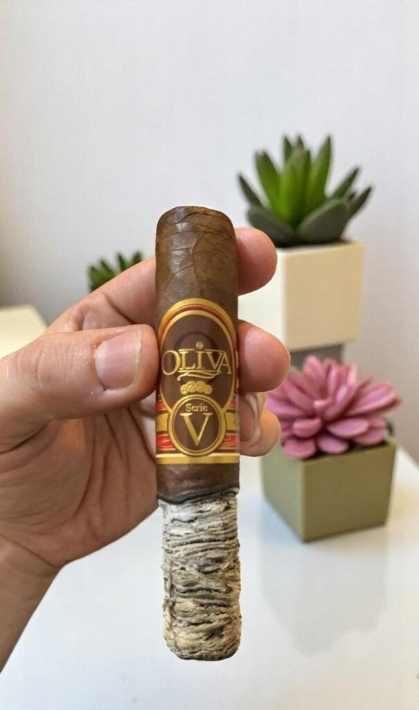 Cigar Oliva Serie V Special Sampler (5มวน) | Cigar Oliva Serie V Special Sampler