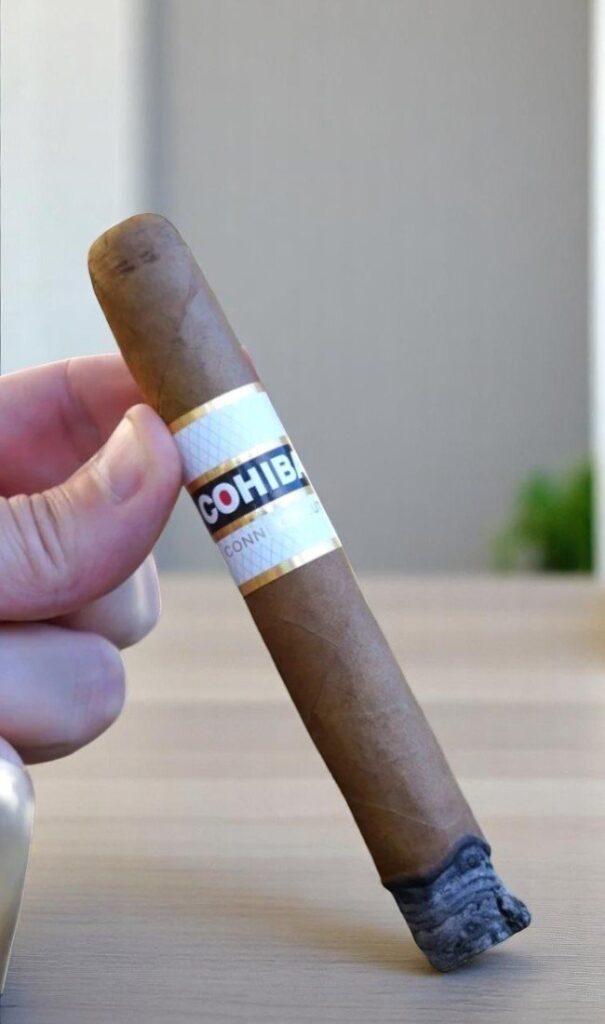 บุหรี่นอก Cohiba Connecticut Robustoพร้อมส่ง