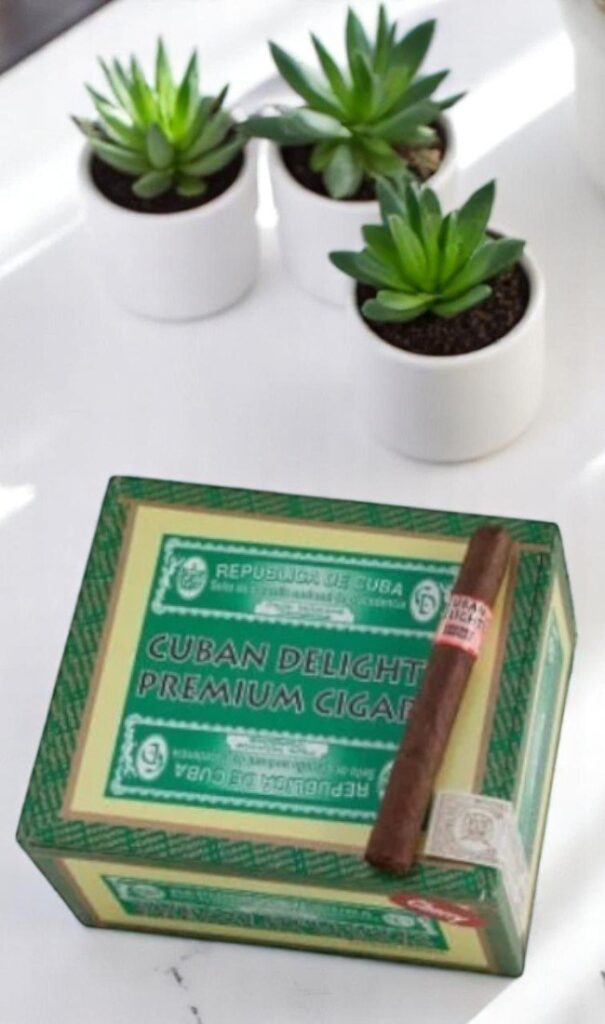 บุหรี่นอก Cuban Delights Cherry 5½x42 (20มวน)พร้อมส่ง