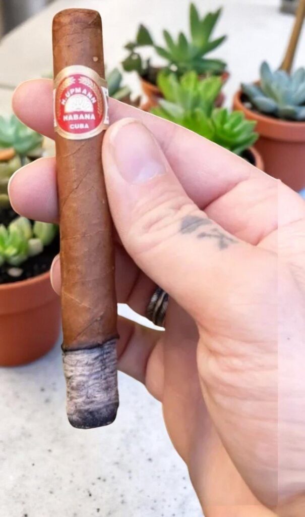 บุหรี่นอก H.Upmann Coronas Junior 4½x36 (25มวน)พร้อมส่ง