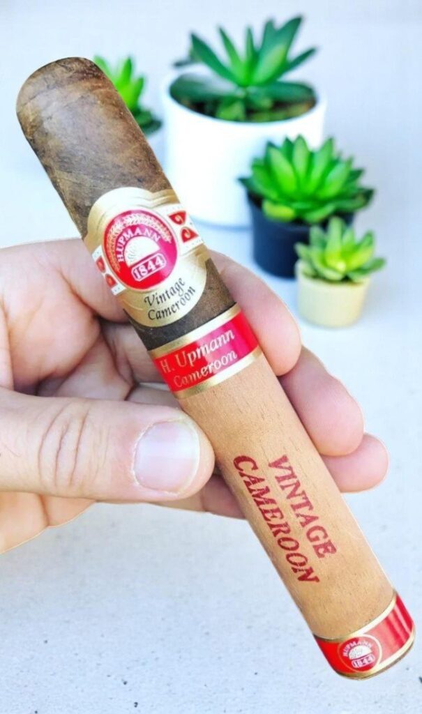 บุหรี่นอก H.Upmann Vintage Cameroon 6×54 (10มวน)พร้อมส่ง