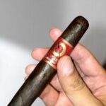 บุหรี่นอก Odyssey Maduro Robusto 5×50 (20มวน)พร้อมส่ง