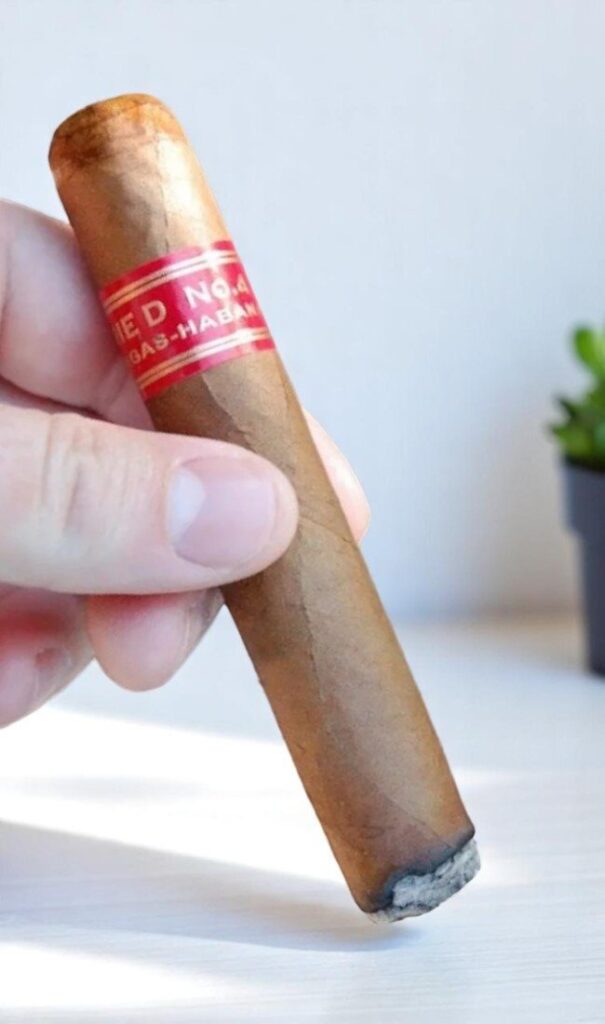 Partagas Serie D No.4 4.8×50 (10มวน) | Partagas Serie D No.4 4.8 50 10