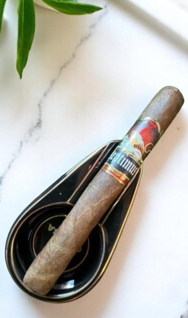 เธเธธเธซเธฃเธตเนเธเธญเธ Septimus Toro Corojo 6×50 | Septimus Toro Corojo 6 50