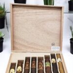 เธเธธเธซเธฃเธตเนเธเธญเธ Taste of Oliva 8 Cigar Assortment | Taste of Oliva 8 Cigar Assortment
