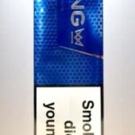 เธเธธเธซเธฃเธตเนเธเธญเธ The King Blue Nano | The King Blue Nano